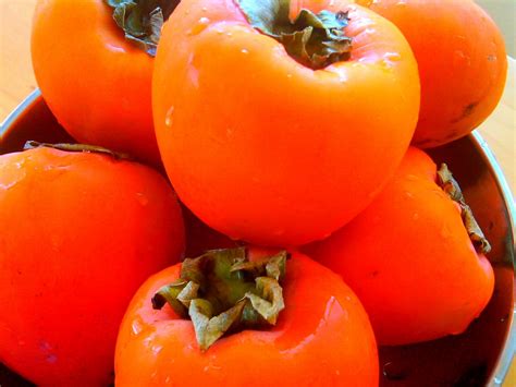 Sep 24, 2019 · A good persimmon at its peak will taste sweet, mild, and rich. Many people have described its flavor as “honey-like.”. Its texture is similar to that of an apricot and its skin is a bit tougher than an apple’s. Biting into an unripe persimmon is considered by most to be an unpleasant experience, as it will taste bitter and the high amount ... . 