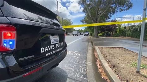 Person of interest in Davis stabbings detained, police say