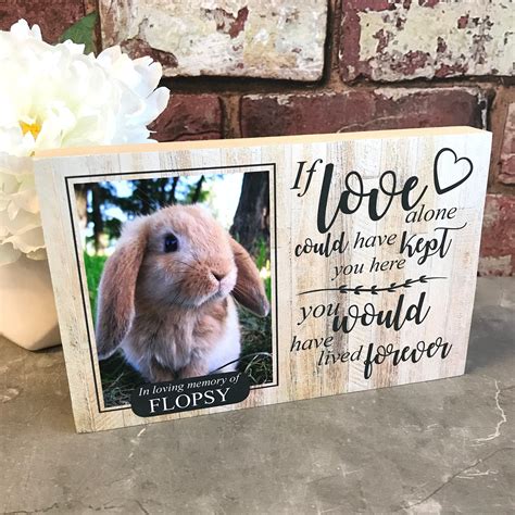 Personalised Rabbit Home Plaque Hanging Sign Pet Cage Gift …