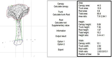 Personality Test Drawing A Tree Frontiers Screening Depressive
