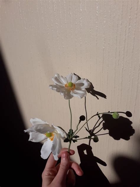 Personification for flowers.  In this exploration, we will delve into t...