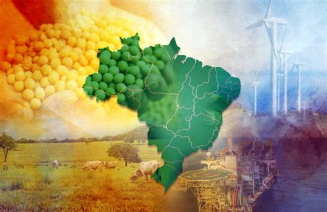 Perspectivas da economia brasileira e planejamento regional. - Guida allo studio di dissezione di spinaroli.