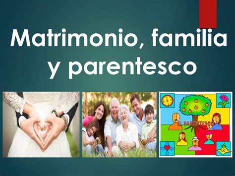 Perspectivas en el estudio del parentesco y la familia. - O princípio inquisitório no procedimento tributário.