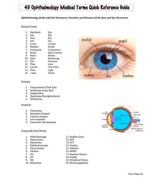 Pertaining To The Eye Or Vision Medical Term