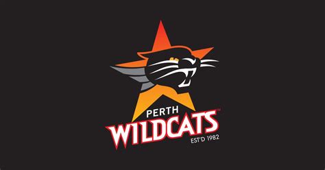 Perth Wildcats News 1/12/09 - YouTube