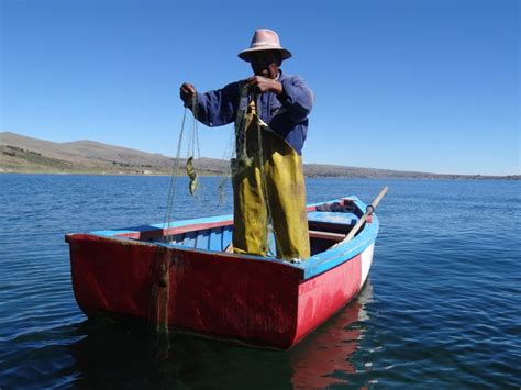 Pesca artesanal en el lago titicaca. - Manuale di addestramento sulle merci pericolose dangerous goods training manual.
