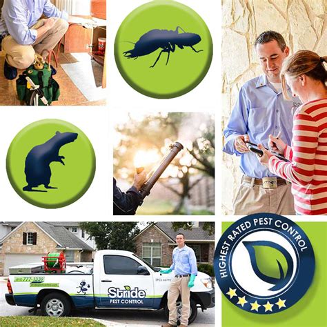 Pest Control Cibolo Tx 🥇 Apr 2024