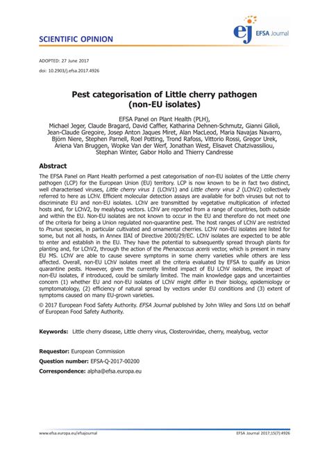 Pest categorisation of Little cherry pathogen (non-EU isolates)