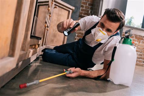 Pest control austin. When it comes to dealing with pesky pests, homeowners and business owners alike want a reliable solution that will provide long-term pest prevention. Orkins Pest Control is backed ... 