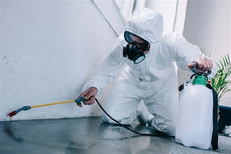 Pest control in sacramento. When it comes to protecting your home from pests, you want to choose a pest control service that you can trust. This is where Corky’s Pest Control comes in. With over 50 years of e... 