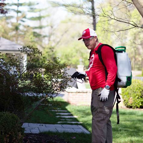Pest control st louis. Joshua’s Pest Control - St. Louis. 58. 15.9 miles away from NoMo Pest Solutions. Mckay J. said "I was approached by a door to door person, seemed a little skeptical ... 