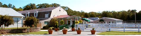 Pet Boarding in Glen Allen, VA Holiday Barn