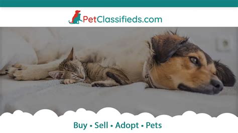 Pet Classifieds Grand Forks - Buy, Sell, Adopt Pets