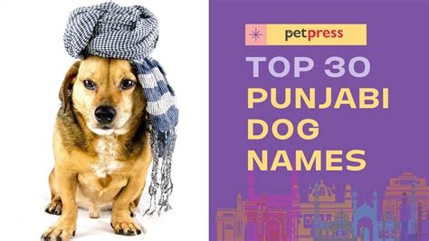 Pet Dog Names In Punjabi