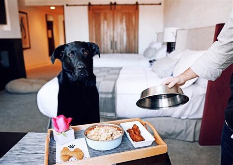 Pet Friendly Hotels in Newhall, CA - BringFido