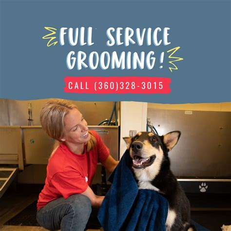 Pet Grooming in Silverdale with Best Prices on PetBacker