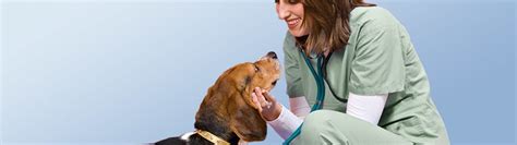 Pet Insurance for Routine Care Petco