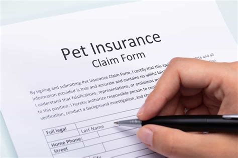 Pet Liability Insurance for Renters: Do You Really Need It?