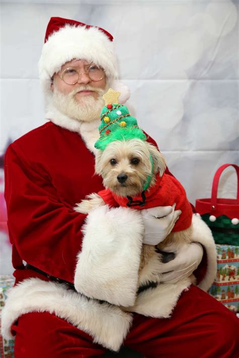 Pet Photos With Santa Near Me 2024 — Where to Get …