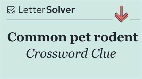 Pet Rodent Crossword Clue
