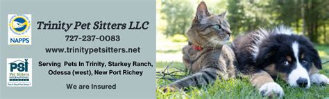 Pet Sitters, LLC