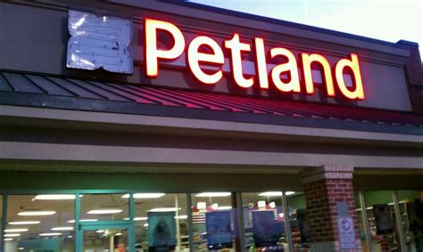 Pet Store Near Me - Petland Athens, Ohio