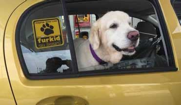 Pet Taxi in Cranleigh with Best Prices on PetBacker