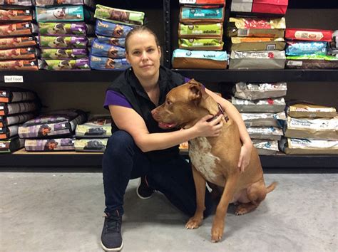 Pet Valu: Powell River - Powell River, BC