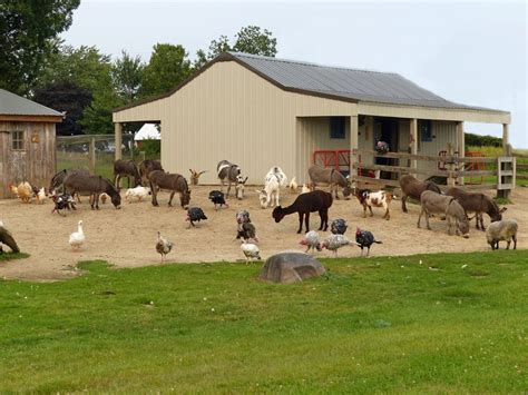 Pet Vet at the Red Barn - Home