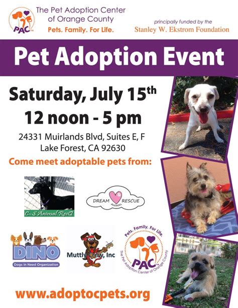 Pet adoption event Saturday in Glens Falls