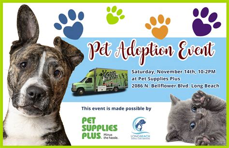 Pet adoption event set in Greenwich