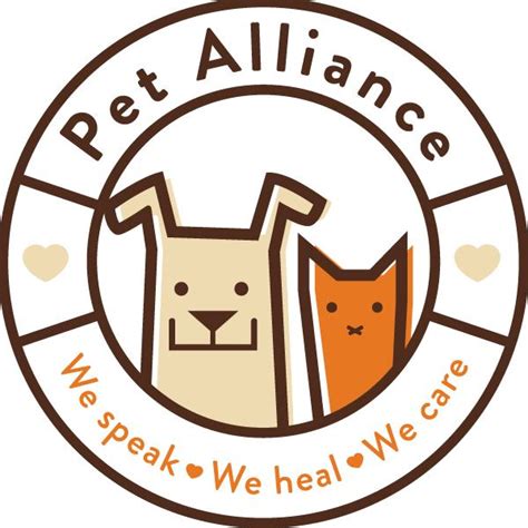 Pet alliance of orlando. Things To Know About Pet alliance of orlando. 