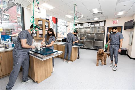 Pet animal hospital. Things To Know About Pet animal hospital. 