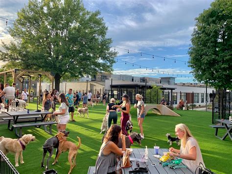 Pet bar. Off Leash Dog Bar, located in Lincoln’s Telegraph District, is a dog playground, dog daycare, full bar, and coffee spot all in one. (531) 500-1265 frontdesk@offleashlnk.com Cart 