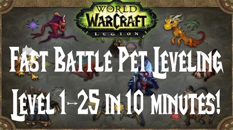 Pet battle leveling guide 1 25. - Terminating therapy a professional guide to ending on a positive note.