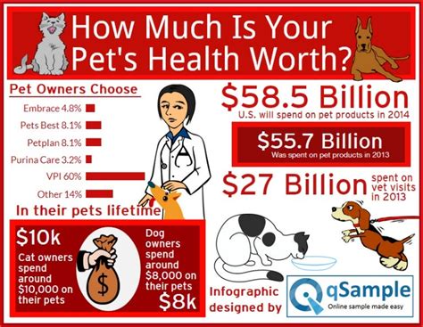Over the course of a dog's average lifespan, Massachusetts pet owners can expect to spend an average of $8,022.51 per year. Interestingly, Massachusetts’ biggest pet care expense is food, with the average yearly food amount coming to $1,406.04 on average in 2023. Only Delaware has a higher average cost of food, $1,609.44.. 