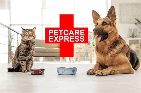 Pet care express. Throughout the course, participants delve into crucial areas, such as advanced pet care planning, grief support, emotional guidance and recognizing signs of distress in pets — and their owners ... 