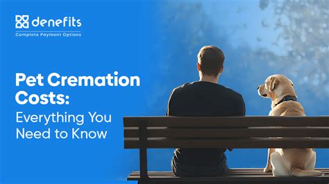 Pet cremation honolulu.  Pets are part of the . com.  This ensures that your pet...