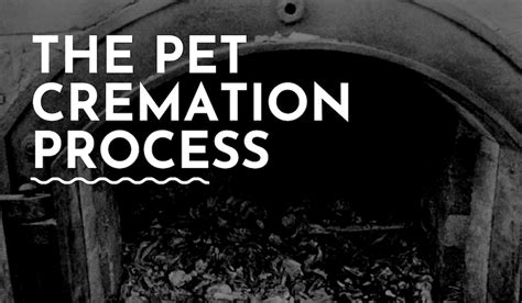 Pet cremation processor.  It is an advanced pulverization system that is Pet Process...