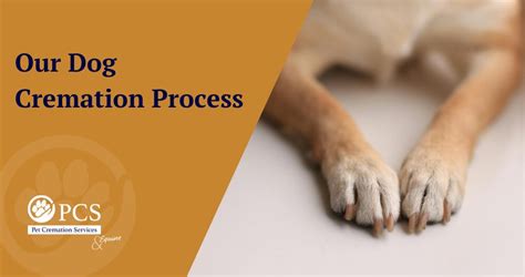 Pet cremation provo. com.  Dr.  With our partnered vets, we provide everyt...