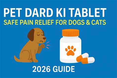 Pet dard ki best tablet name list.  Find more information including dose, side eff...