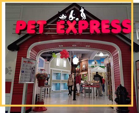 Pet express braintree. Pet Express Braintree. South Shore Mall . 250 Granite Street Braintree, MA 02184 (781) 849-7384 . Email Us Quick Links . Puppies About Us Pet Express Pets Bakery Career Opportunities FAQ Locations Breeds Financing Contact us. Pinogy ... 