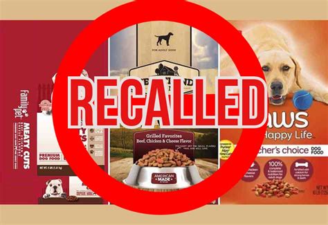 Pet food company recalls dog food over salmonella concerns