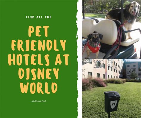 Pet friendly disney hotels. Learn about dog-friendly hotel rooms and accommodations at Walt Disney World Resort near Orlando, Florida. Disney Resort hotels welcoming pet dogs include Disney’s Art of Animation Resort, Disney Port Orleans Resort – Riverside, Disney’s Yacht Club Resort and The Cabins at Fort Wilderness Resort. 