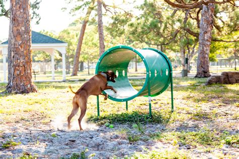 Pet friendly fort lauderdale. Fort Lauderdale has moved beyond its reputation for drawing hoards of Spring Breakers to also become one of the most family-friendly beach destinations in Florida. The self-described Venice of America has a system of canals that offers a unique way to visit the many golden beaches, secluded state parks, and historic districts in and around the ... 
