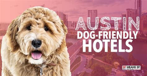 Pet friendly hotel austin. Things To Know About Pet friendly hotel austin. 