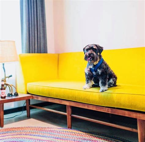 Pet friendly hotels austin. Fairmont Austin Gold Experience. Excellent , 79 reviews. #15 out of 71 hotels. $709+. Check-in. Check-out. Get rates. Search 4,847 pet friendly hotels in … 
