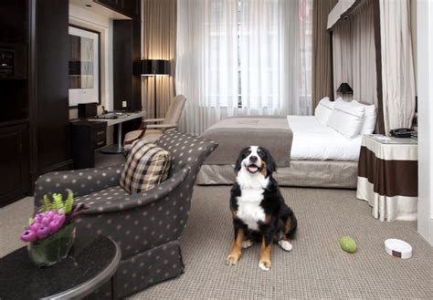 Pet friendly hotels boston. Americas Best Value Inn New Boston Pet Policy Americas Best Value Inn New Boston welcomes two pets up to 20 lbs for an additional fee of $15 per pet, per night. Larger pets may be considered with prior management approval. Both dogs and cats are allowed, and pets may be left in rooms unattended. 