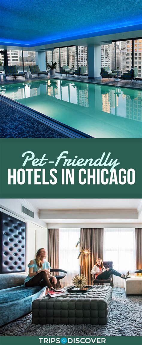 Pet friendly hotels chicago. The Peninsula Chicago welcomes two pets of any size in designated rooms. The pet fee is $150 per stay for pets up to 30 lbs and $350 per stay for larger pets. All pet-friendly rooms are located on the eighth floor. Both dogs and cats are accepted, and well-behaved pets may be left unattended. Guest pets receive beds, bowls, and treats upon arrival, and … 