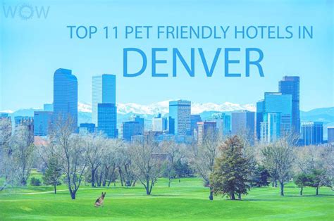 Pet friendly hotels denver. Things To Know About Pet friendly hotels denver. 